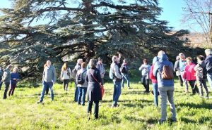 Giornata dell'Energia Sociale 2026