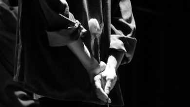 Il tulipano di vetro al Piccolo Teatro Comico