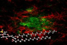 Sulfavant A molecola smart