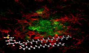 Sulfavant A molecola smart