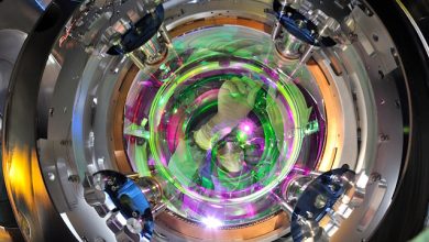 onde gravitazionali specchi del rivelatore Virgo