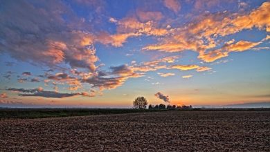 zona umida della pianura risicola vercellese