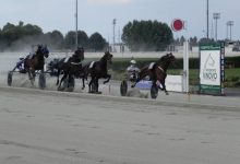 Ippodromo Vinovo 22 aprile otto corse
