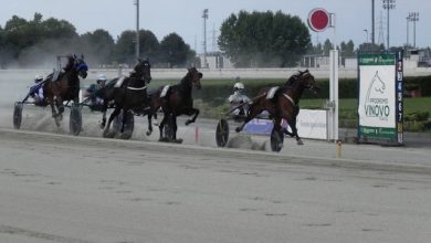 Ippodromo Vinovo 22 aprile otto corse