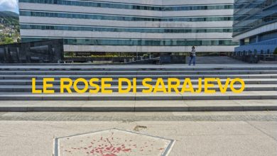 Le rose di Sarajevo