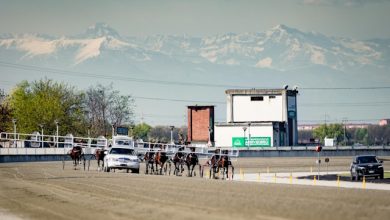 Tris Quartè e Quintè 13 aprile