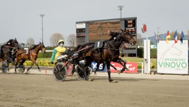 Tris Quartè e Quintè 25 marzo