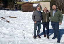 Vignale Vercellio Puglisi Palit