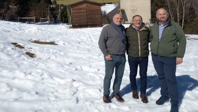 Vignale Vercellio Puglisi Palit