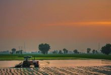 consorzi irrigui piemontesi