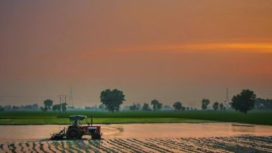 consorzi irrigui piemontesi