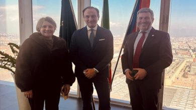 progetto Sinfonie di Pietre e Larici