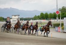 Ippodromo Vinovo 15 maggio otto corse