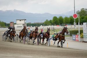 Ippodromo Vinovo 15 maggio otto corse