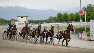 Ippodromo Vinovo 15 maggio otto corse