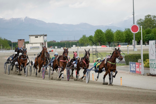 Ippodromo Vinovo 15 maggio otto corse