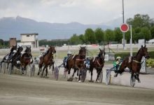 Ippodromo di Vinovo il trotto