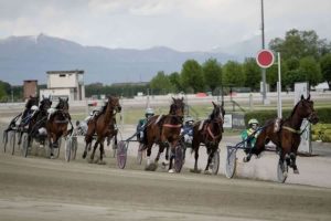 Ippodromo di Vinovo il trotto