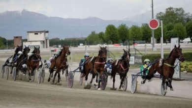Ippodromo di Vinovo il trotto