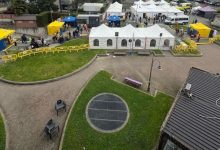 Lions Day 2026 a Pianezza