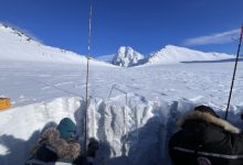 Svalbard neve artica