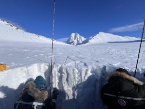 Svalbard neve artica