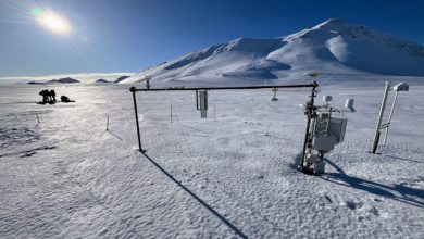 Svalbard primavera 2026
