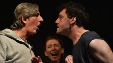 Al Piccolo Teatro Comico Storie di box