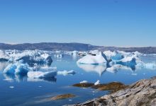 Artico