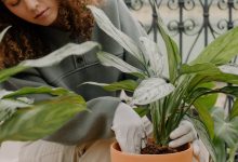 Fascination of Plants Day