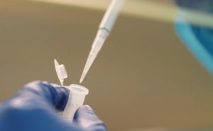 RNA