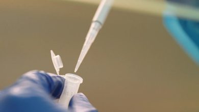 RNA