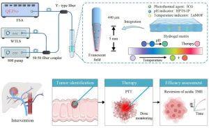 sonda a fibra ottica cura del tumore