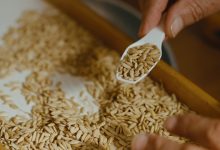 Crisi del riso allarme Confcooperative Agroalimentare