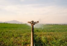 Crisi idrica Confcooperative Agroalimentare e Pesca Piemonte