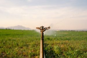 Crisi idrica Confcooperative Agroalimentare e Pesca Piemonte