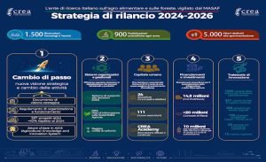 Rocchi CREA bilancio