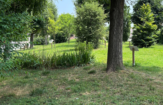 Un bosco per la città Boschetto Matteotti