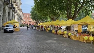 Mercato Contadino di Campagna Amica Asti al Cardinal Massaia