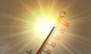 caldo estremo colpisce anche le imprese