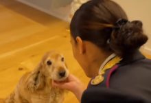 spot Polizia di Stato contro abbandono animali