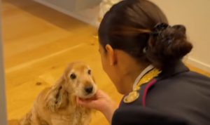 spot Polizia di Stato contro abbandono animali