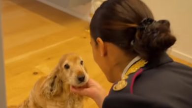 spot Polizia di Stato contro abbandono animali