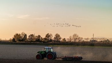 Carburante agricolo