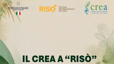 crea risò 2026