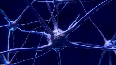neuroni