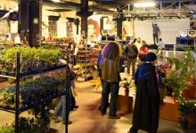Botanical Groove Torino