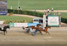 Derby Day Arrivo Oaks Ischia Joy