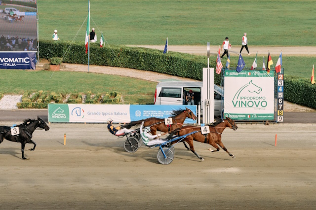 Derby Day Arrivo Oaks Ischia Joy