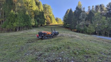 Pista da sci Numero 12 Sauze d’Oulx